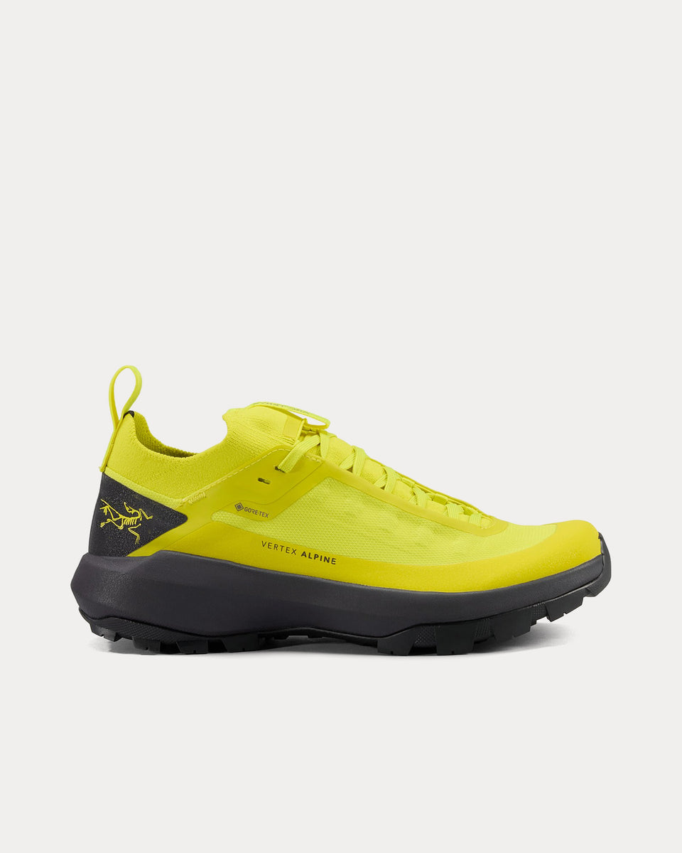 Arc'teryx Vertex Alpine GTX Euphoria / Graphite Running Shoes - Sneak ...