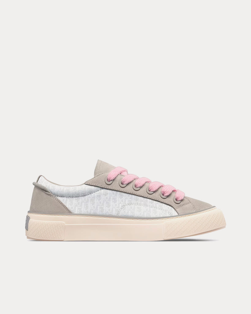 Dior oblique cheap low top