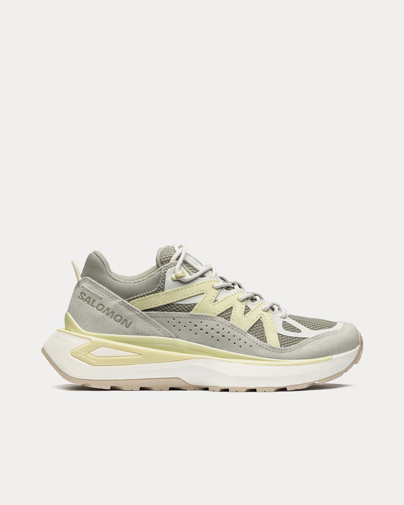 Salomon Odyssey Elmt Low Shadow / Metal / Aloe Wash Low Top Sneakers ...