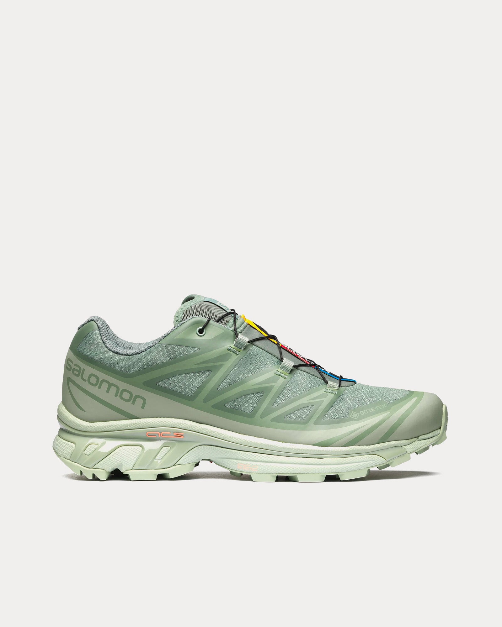 Salomon XT-6 Gore-Tex Desert Sage / Lily Pad / Laurel Wreath Low Top Sneakers - 1