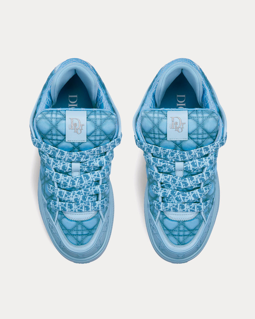 Dior x ERL B9S Skater Limited And Numbered Edition Blue Kumo 