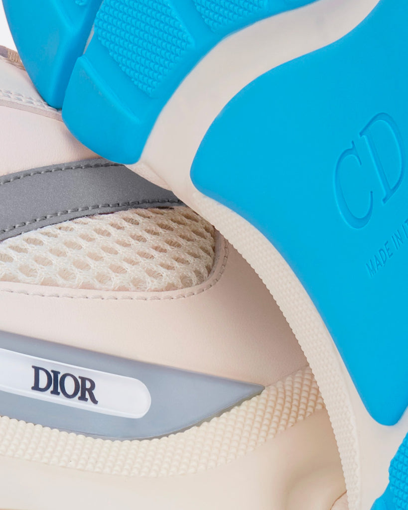 Dior B22 Sneakers In Blue-white